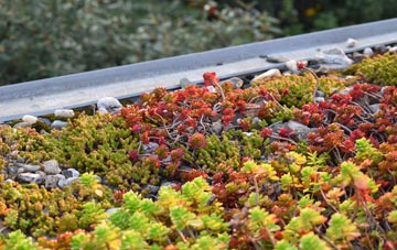 the cost of Jerrettspuss green roof installation