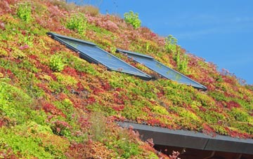 Jerrettspuss living roof systems