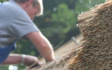 professional Jerrettspuss thatchers